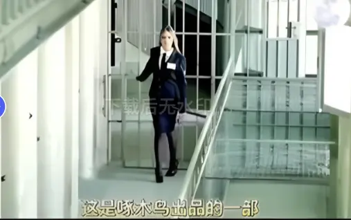 《高压监狱2》全集1080P在线观看「免费」-窝窝影院