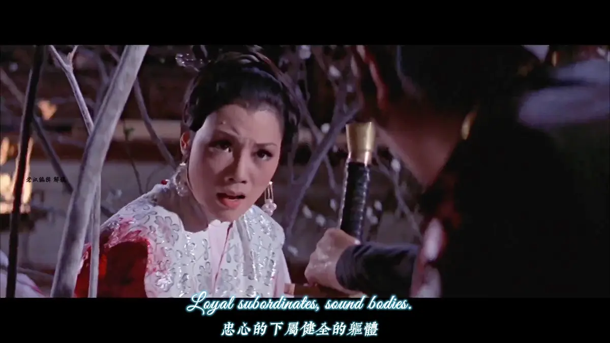 香港爱情电影《爱奴》1080P无删减免费观看-2025年电影《爱奴》高清完整版全集在线播放