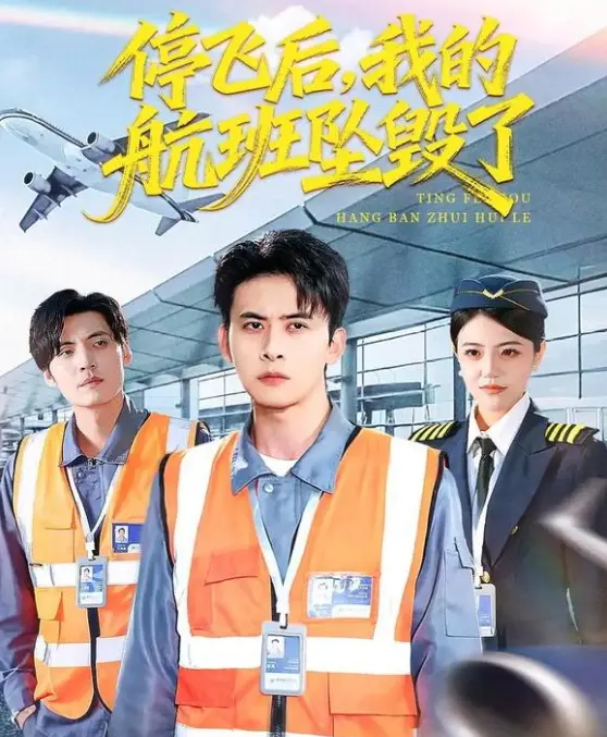 短剧《停飞后，我的航班坠毁了》-全100集无删减1080P超清合集-停飞后，我的航班坠毁了百度云/夸克/迅雷资源下载