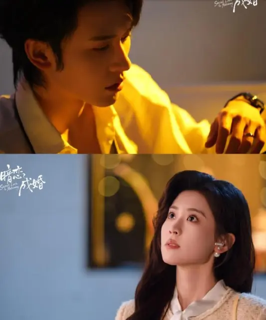 《暗恋成婚》2026国产剧申浩男主演 无广告高清画质免费观看全集-国产剧《暗恋成婚》国语完整版