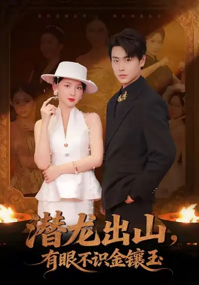 《潜龙出山有眼不识金镶玉》全78集-孔德瑞张婉悦主演-免费未删减在线观看-百度网盘夸克网盘下载
