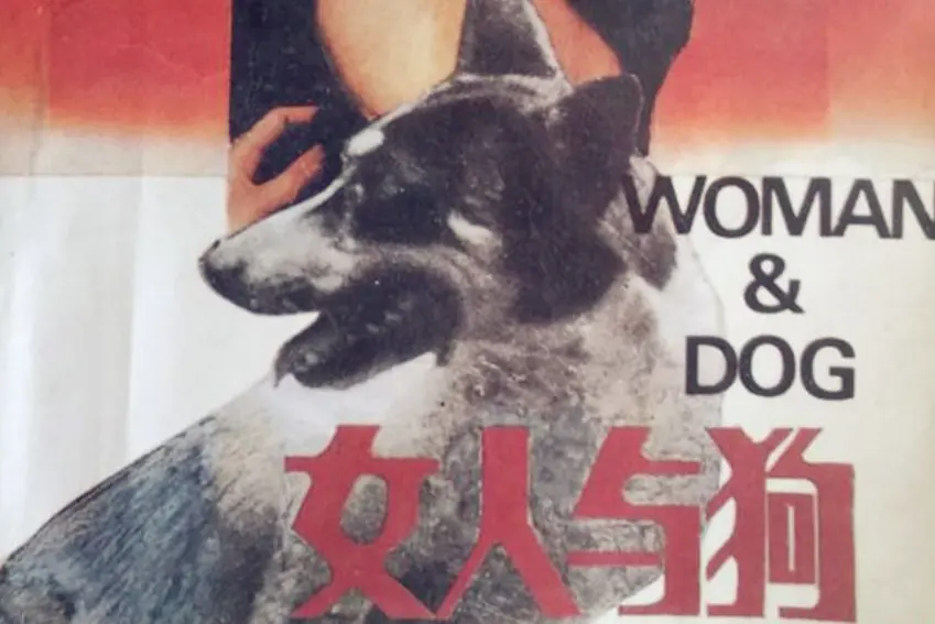 《女人与狗俄罗斯电影》免费无广告HD高清在线观看-晨光影院_《女人与狗》完整版无删减一口气看完！
