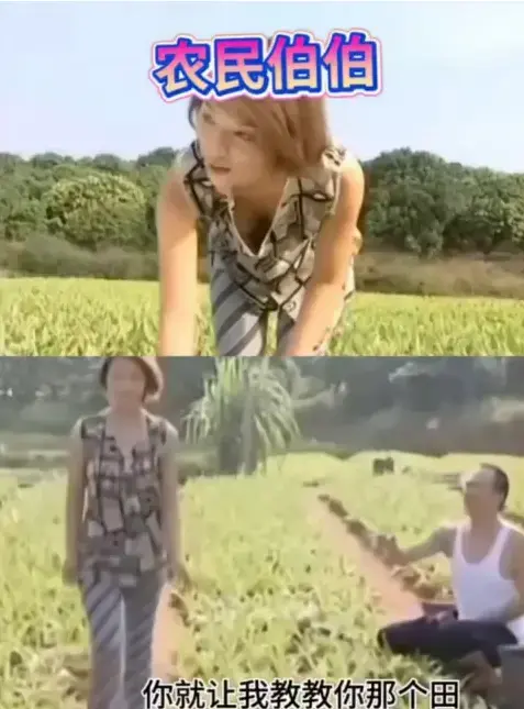 《农民伯伯乡下妹》全季高清无删减免费看-台湾冷门乡土剧越看越治愈-农民伯伯与乡下妹日常-无广告无卡顿观影-被低估的乡村剧