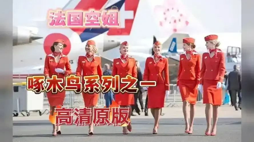 法国经典电影《法国空姐》HD高清未删减版免费在线观看-完整版无广告《法国空姐》全片在线播放