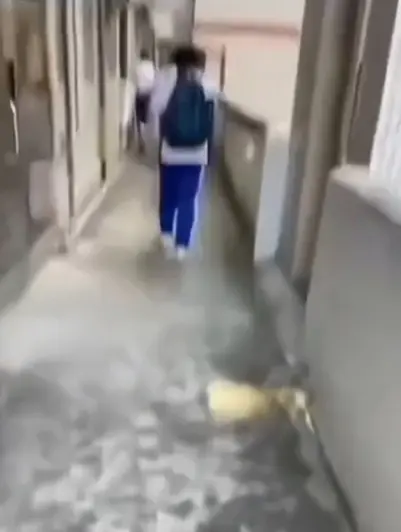 《大昌市第七中学》《大昌七中女鬼事件》