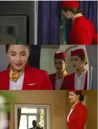 《法国空姐私人航空不雅空乘》