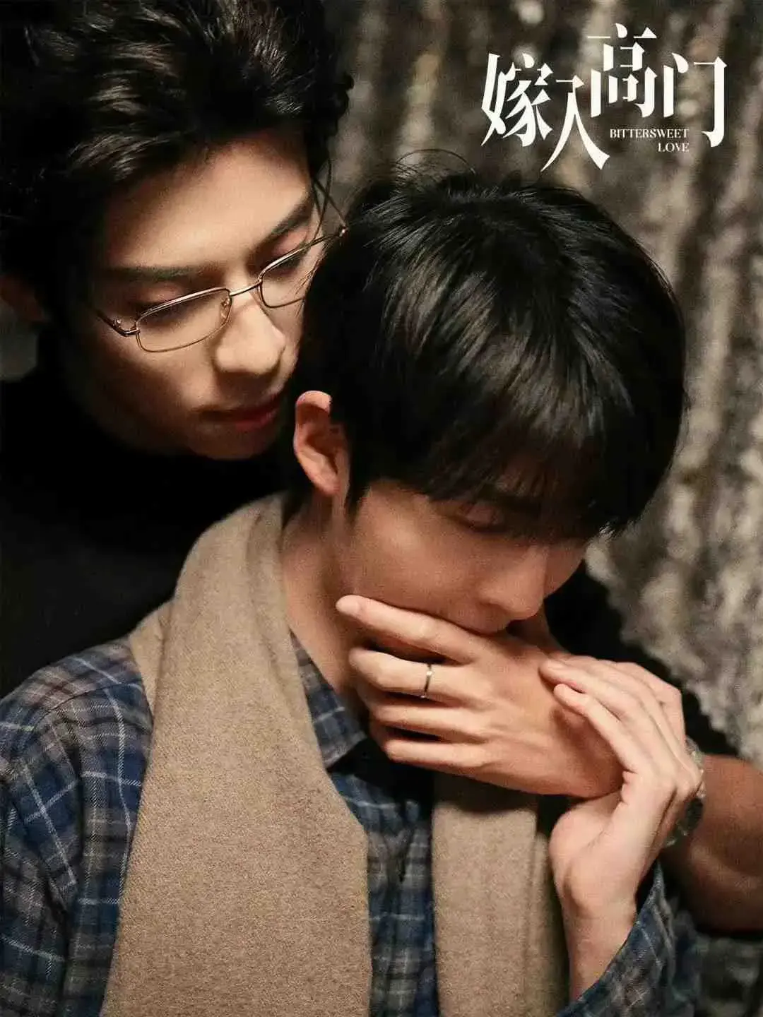 2026热门双男主爱情剧《嫁入高门的男人》全片免费看，《嫁入高门的男人》高清HD无删减在线观看-VS影院